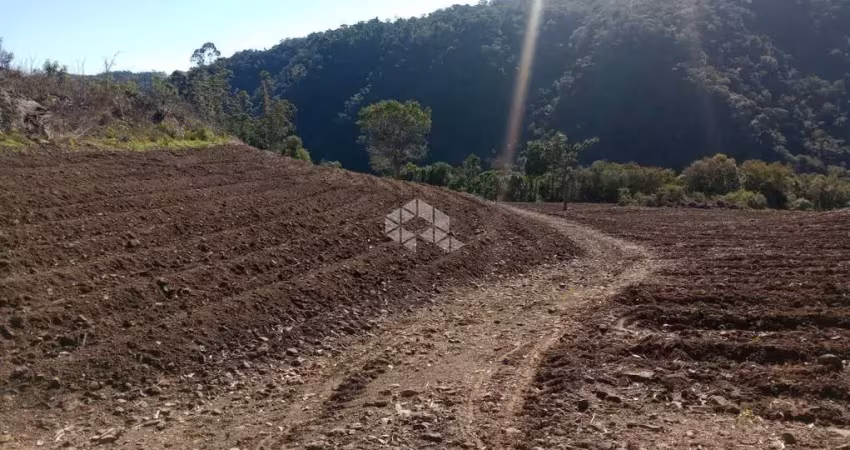 Área de terras com 42 hectares a venda em cerro branco - chácara