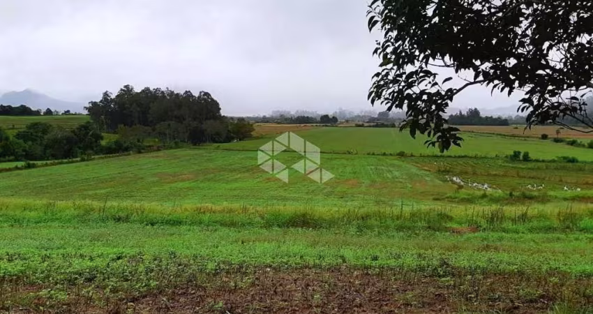 Chácara / sítio com 3 quartos à venda na Linha São Luís, 000, Zona Rural, Faxinal do Soturno