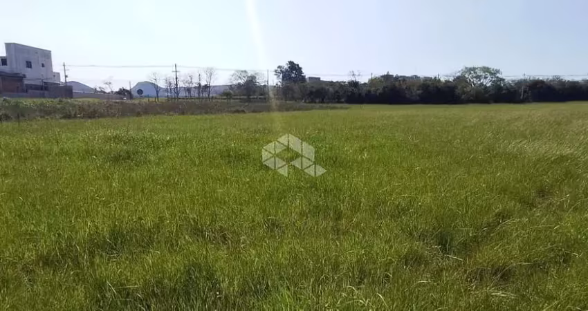Terreno à venda na RST-509, 1, Pé de Plátano, Santa Maria