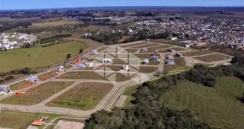 Terreno à venda na David Ribeiro, 1, Tomazetti, Santa Maria