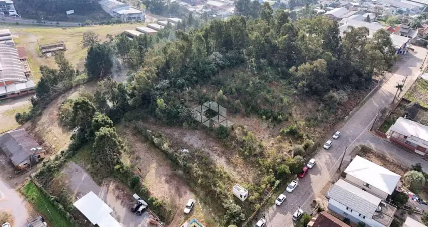 Terreno à venda na Bertoldo Rocha Neto, 135, Marechal Floriano, Caxias do Sul