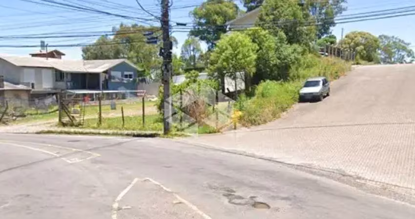 Terreno à venda na Rua Senador Alberto Pasqualini, 1441, São Ciro, Caxias do Sul
