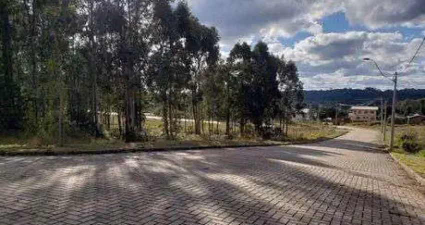 Terreno à venda na Rua Alberto Lima Carneiro, 120, São Ciro, Caxias do Sul
