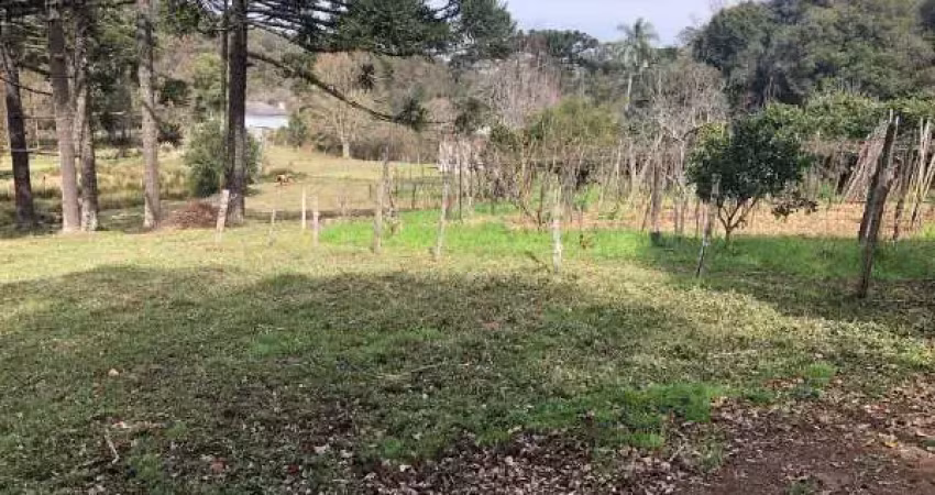 Terreno à venda na TRAVESSAO VITOR EMANUEL, 1, Santa Fé, Caxias do Sul