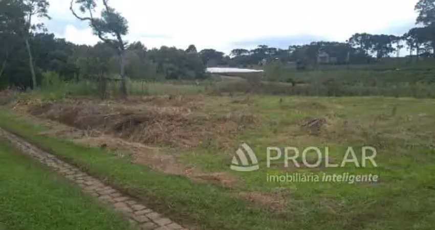 Terreno à venda na Rua Ludovico Cavinato, 405, Nossa Senhora da Saúde, Caxias do Sul