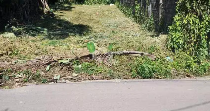 Terreno à venda na Benedito Antonio Eloi, 510, Sertão da Quina, Ubatuba