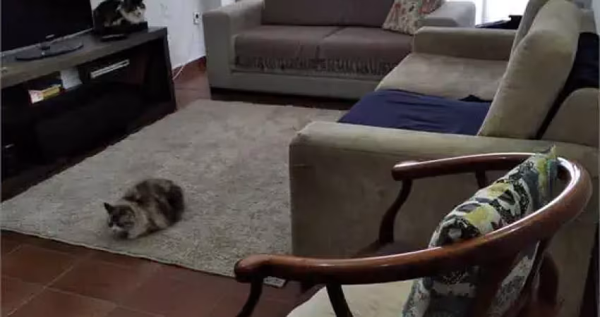 Casa térrea com 5 quartos à venda em vila santo antônio - sp