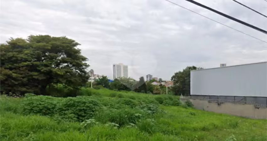 Terreno comercial para alugar na Avenida Independência, Nova Aliança, Ribeirão Preto