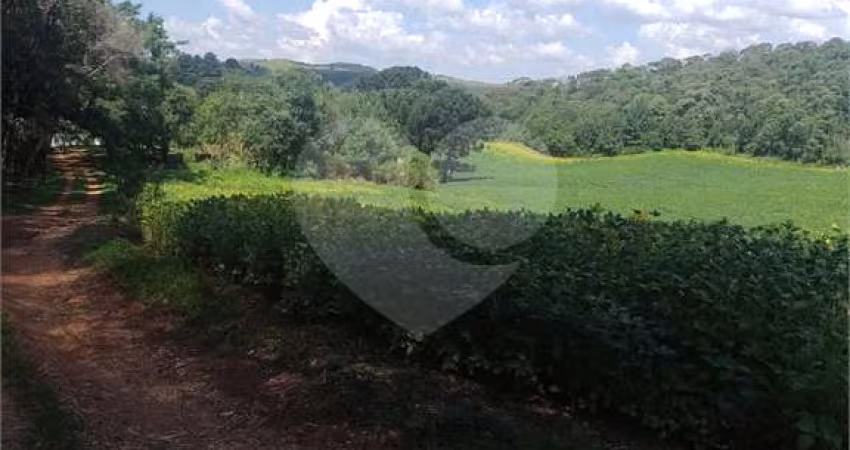 Terreno à venda em Mato Dentro - PR