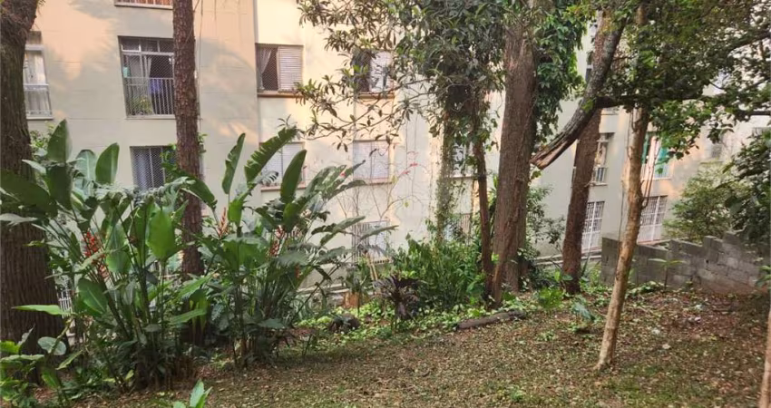 Apartamento com 3 quartos à venda em Parque Mandaqui - SP
