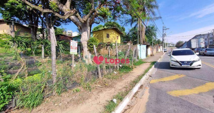 Terreno Comercial / Residencial (rua de bom movimento)