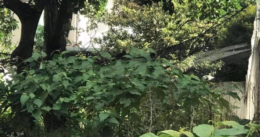 Oportunidade para você que está procurando um terreno nobre em um dos melhores endereços de SP.