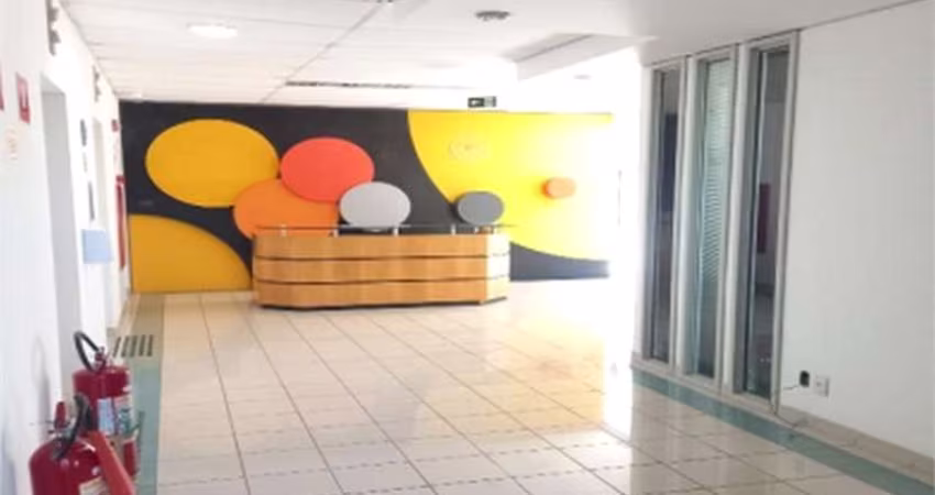 Laje 1237 m²