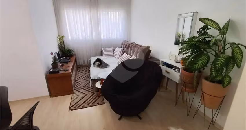 Apartamento venda 810 mil, 2 quartos, 1 vaga e 70m² moema pássaros