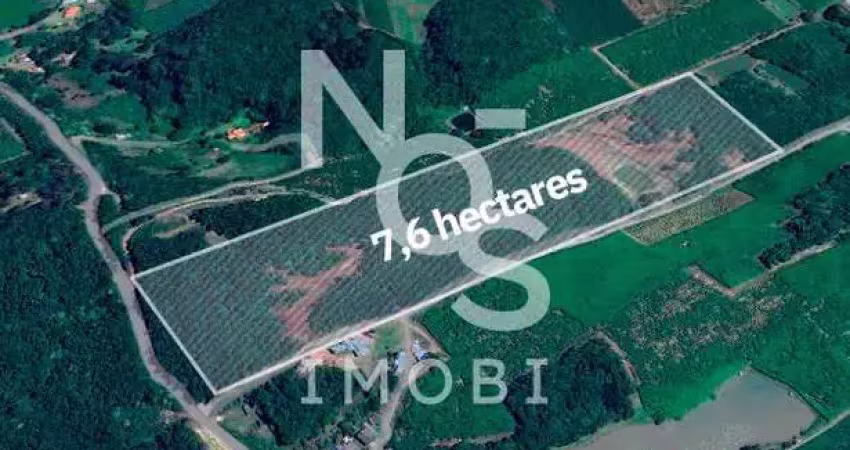 Terras para plantio no travessão 7 de setembro em flores da cunha