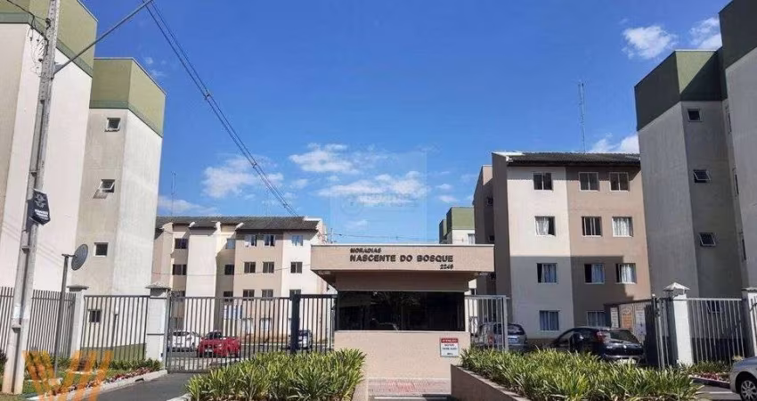 Amplo apartamento com 3 quartos, Santa Cândida