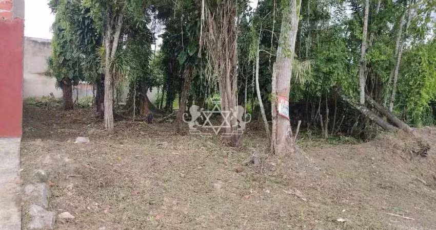 Terreno 490m2 à venda, jardim das gaivotas, caraguatatuba, sp