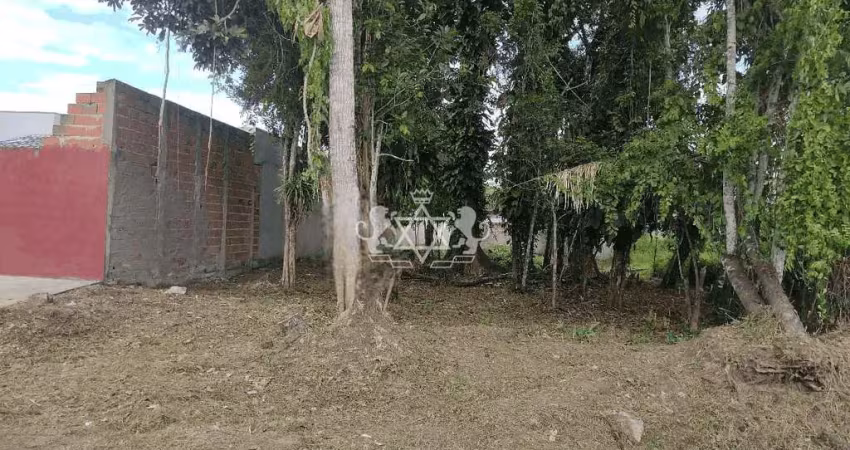 Terreno à venda, jardim das gaivotas, caraguatatuba, sp