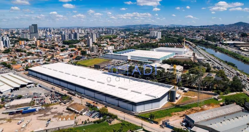 Galpão Logístico/Industrial Locação - 30.000 m²  - Osasco/SP