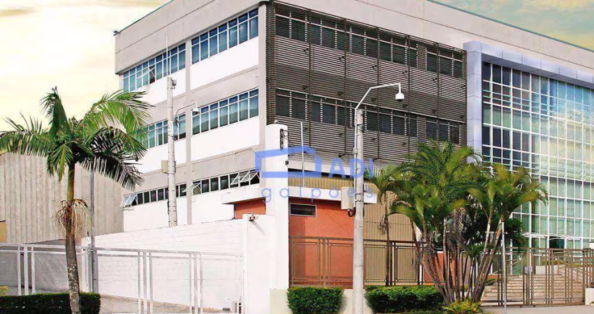 Galpão Logístico para Locação - 2.508 m² - Alphaville - Barueri - SP