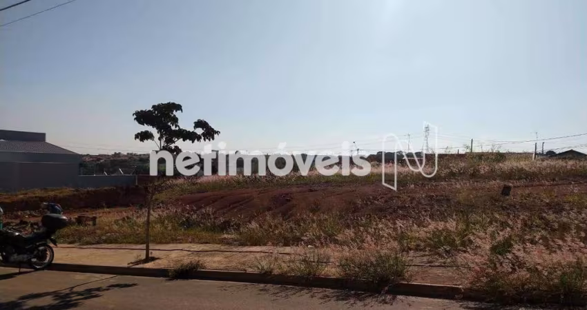 Venda Lote-Área-Terreno Reserva Centenária Santa Bárbara DOeste