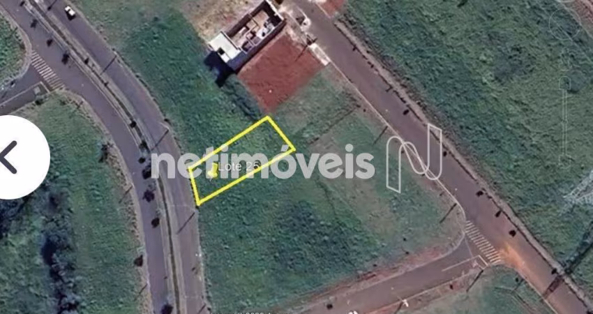 Venda Lote-Área-Terreno Jardim Alphacenter Santa Bárbara DOeste