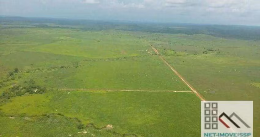 FAZENDA (27.000 hectares), CASA SEDE, CURRAL PARA MANEJO DE ANIMAIS. BOM JESUS DO ARAGUAIA, PÓLO DO AGRONEGÓCIO