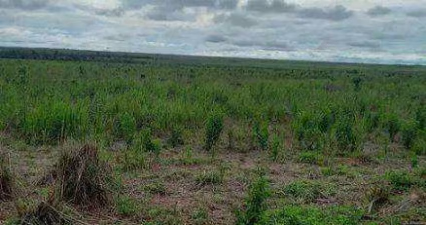 FAZENDA (8.880 hectares). ALTO POTENCIAL PARA AGROPECUÁRIA E LAVOURA
