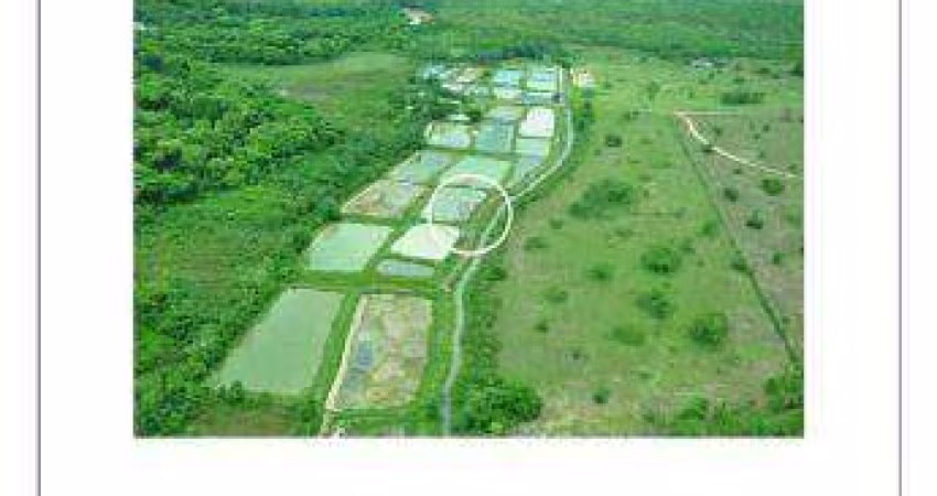 FAZENDA (353 hectares) NO MUNICÍPIO DE NOBRES MT