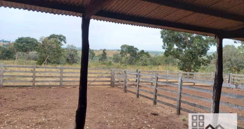 FAZENDA (324 Hectares), EM VARGEM GRANDE MT