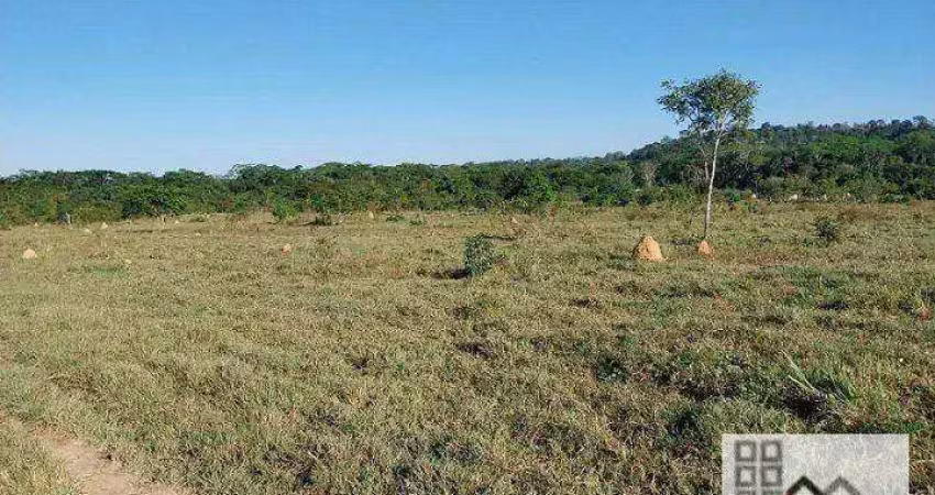 Fazenda (309 alqueires). oportunidade de negócio com renda garantida, com 750 cabeças de gado