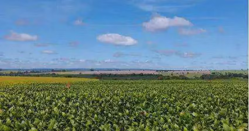 Fazenda lindíssima (350 alqueires). fazenda com completa infraestrutura para o seu agronegócio