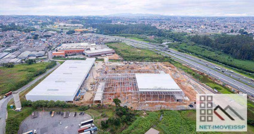 GALPÃO LOGÍSTICO (2.865,55m²), 13 VAGAS. LOCALIZAÇÃO ESTRATÉGICA E SEGURANÇA PARA ESTOCAGEM E ARMAZENAGEM