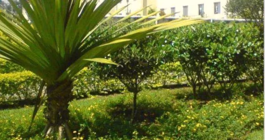 Apartamento para Venda em Indaiatuba, Jardim Juliana, 3 dormitórios, 1 banheiro, 1 vaga