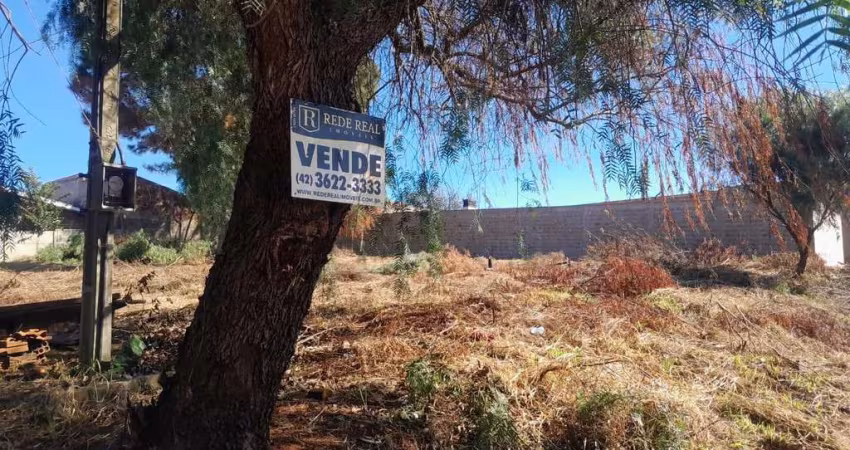 Terreno para Venda em Guarapuava, Industrial