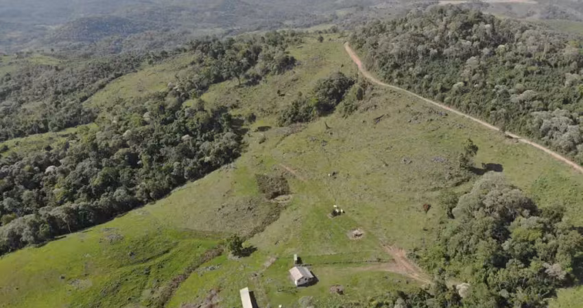 Fazenda à venda na Zona Rural, Reserva do Iguaçu 