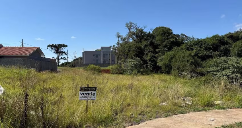 Terreno para Venda em Guarapuava, Industrial