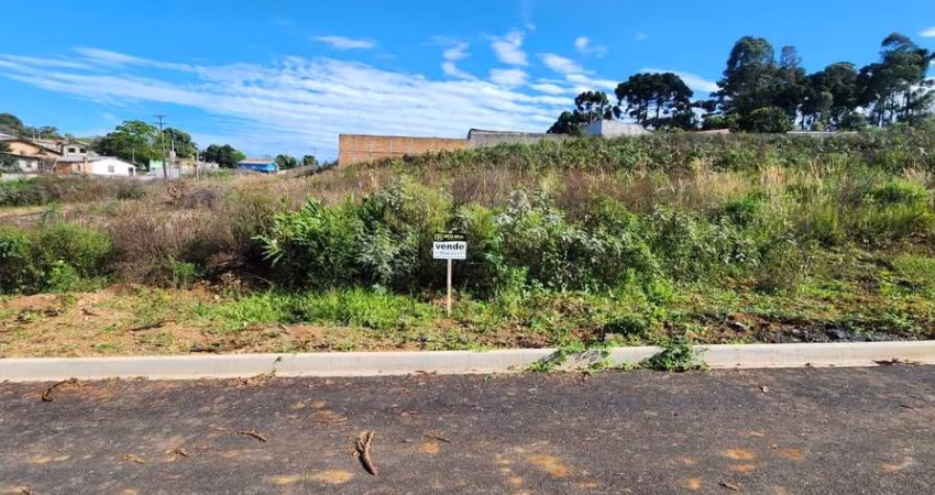 Terreno para Venda em Guarapuava, Morro Alto
