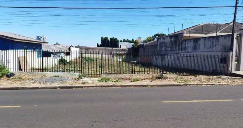 Terreno para Venda em Guarapuava, Santana