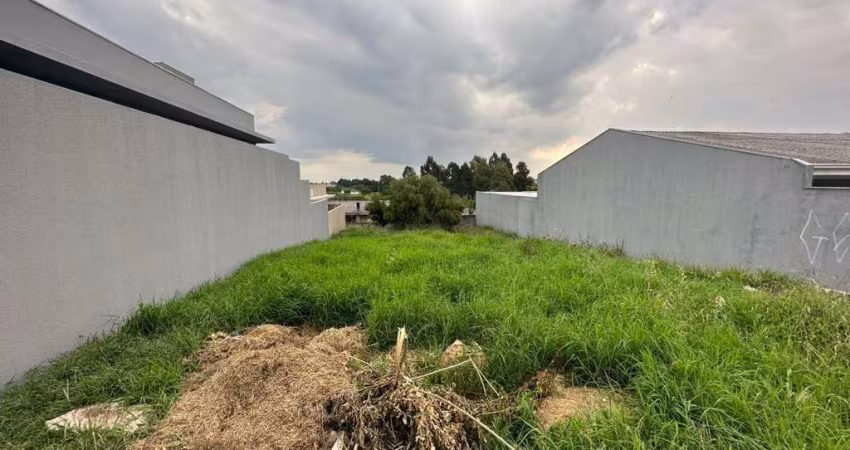 Terreno para Venda em Guarapuava, Vila Carli