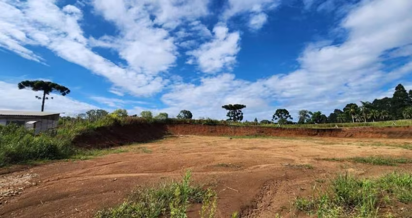 Terreno para Venda em Guarapuava, Morro Alto