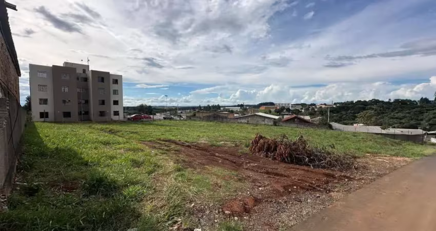 Terreno à venda na Rua Fênix, 278, São Cristóvão, Guarapuava