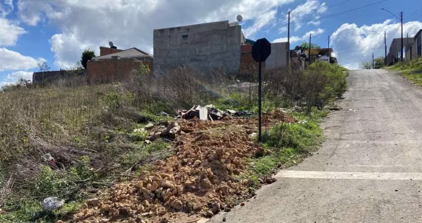 Terreno à venda na Rua dos Marmeleiros, Morro Alto, Guarapuava