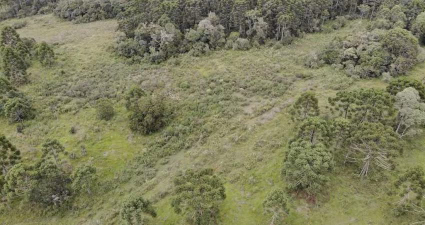 Chácara para Venda em Guarapuava, Guairacá