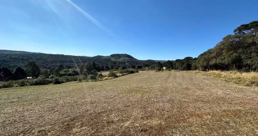 Chácara / sítio à venda na Vila Jordão, Guarapuava 