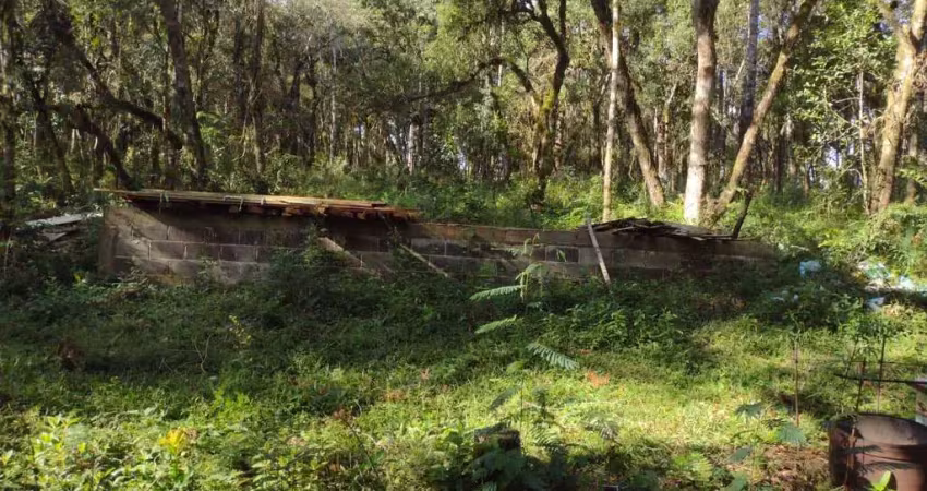 Chácara / sítio à venda na Vila Jordão, Guarapuava 