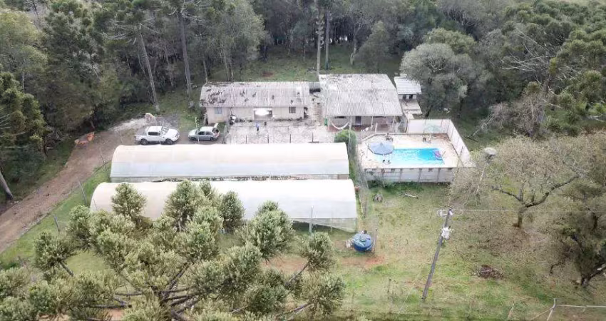 Chácara / sítio à venda na Área Rural de Guarapuava, Guarapuava 
