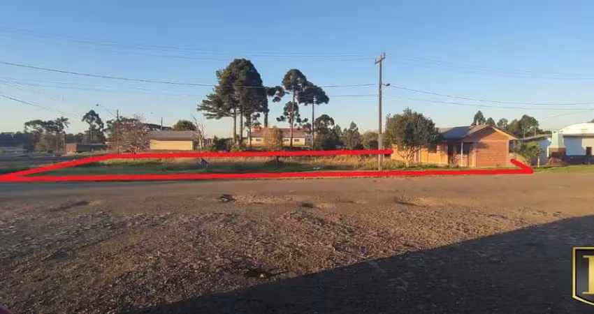 Terreno à venda na BR 277, Guará, Guarapuava