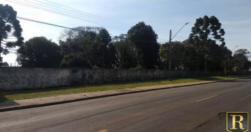 Terreno para Venda em Guarapuava, Trianon
