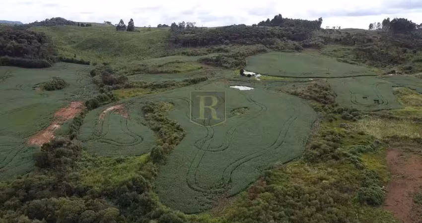 Chácara / sítio à venda no Zona Rural, Inácio Martins 